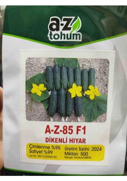 85 F1 Dikenli Hibrit Hıyar Tohumu 500 Adet