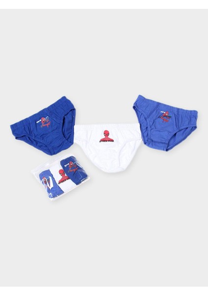 Spiderman Erkek Çocuk 3'lü Slip PL22463
