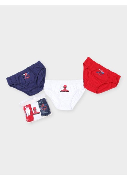 Spiderman Erkek Çocuk 3'lü Slip PL22463