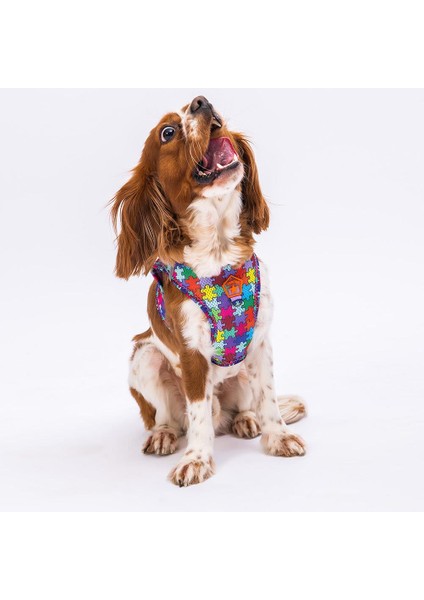 Air-Mesh Puzzle Köpek Göğüs Tasması