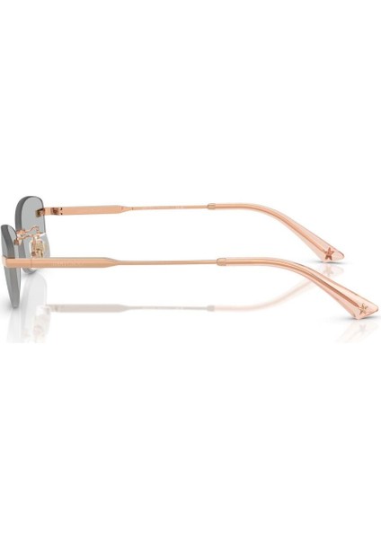 Jımmy Choo 0jc 4013D 300887 57 Kadın Güneş Gözlüğü fiyatları