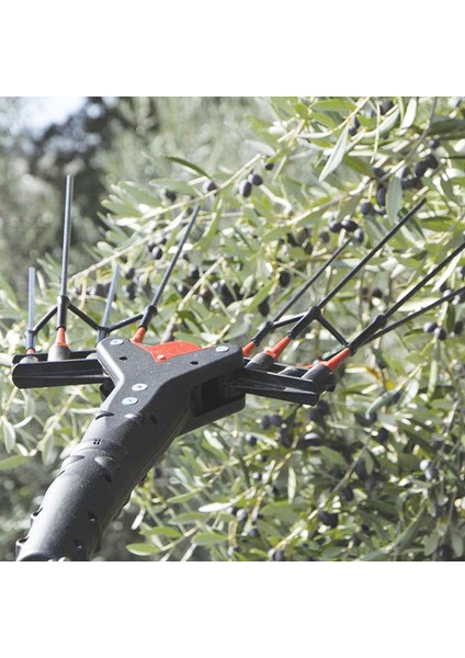 Castellari Vertigo 30V Akülü ve Taraklı Zeytin Hasat Makinası modelleri