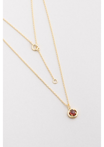 Garnet Serüveni 18 Ayar Sarı Altın Kaplama 44 cm Gümüş Kolye