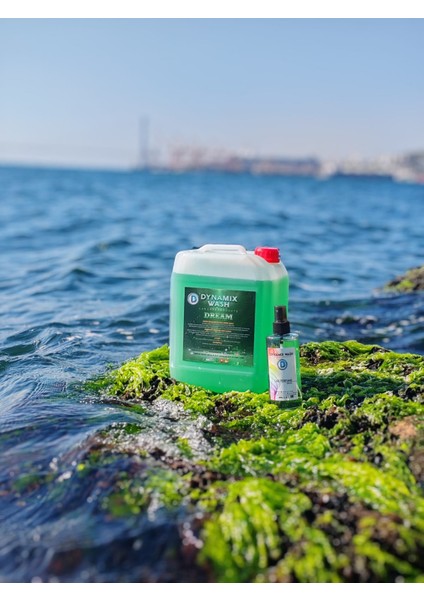 Dream Araç Parfümü Oto Parfümü ve Ortam Parfümü 5 Lt ve 250 ml hediye fiyatları