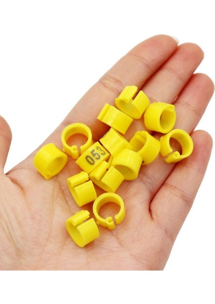 Sarı Stil 100 Adet Renkler Güvercin Ayak Halkaları 8mm Kelimeler ile Plastik Klips Halka Güvercin Güvercin Bıldırcın Ayak Halkası Çiftlik Hayvan Eğitim Malzemeleri (Yurt Dışından) fırsatları