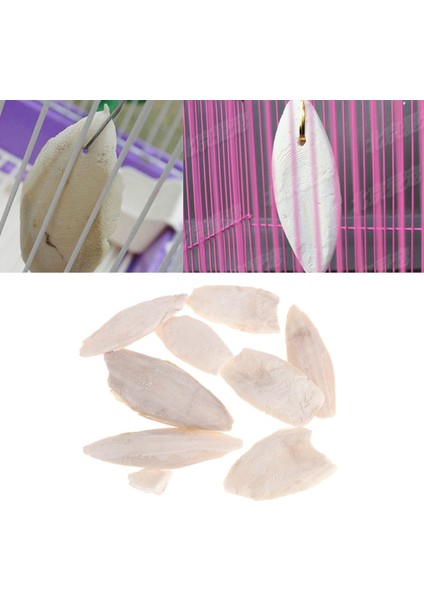 1 Paket Deniz Kemiği Mürekkep Balığı Kemik Mürekkep Balığı Kuş Yemi Kalsiyum Taşı Evcil Hayvan Malzemeleri J9K (Yurt Dışından)