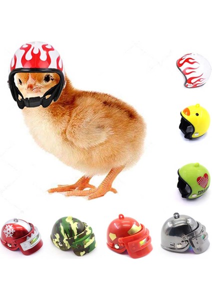 B02 Stili Sevimli Tavuk Kaskı Küçük Evcil Hayvan Sert Kask Kuş Başlığı Evcil Hayvanlar Bıldırcın Kaskları Oyuncak Tavuk Başlık Aksesuarları Ürünler Baş Koruyucu (Yurt Dışından)