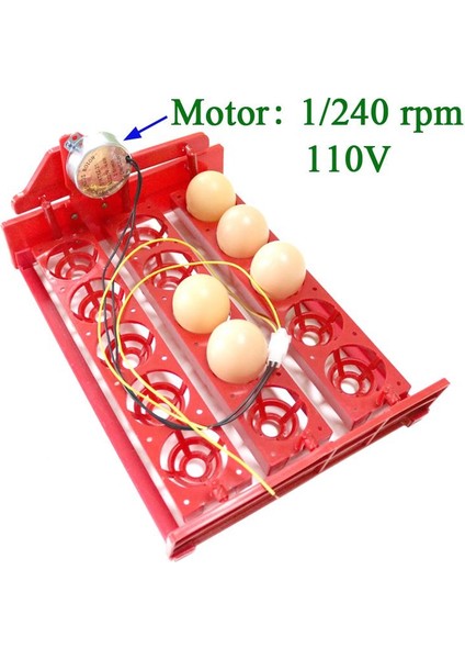 1I240RPM 110V Tarzı M Beden 15 Yumurta Incübatörü Yumurta Tepsisi 3 * 5 Delik Otomatik Incübatör Yumurta Tepsisi Yumurtaları Otomatik Döndürme Kümes Incübatörü Ekipmanı (Yurt Dışından)
