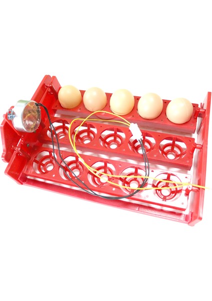 1I240RPM 110V Tarzı M Beden 15 Yumurta Incübatörü Yumurta Tepsisi 3 * 5 Delik Otomatik Incübatör Yumurta Tepsisi Yumurtaları Otomatik Döndürme Kümes Incübatörü Ekipmanı (Yurt Dışından) fırsatları