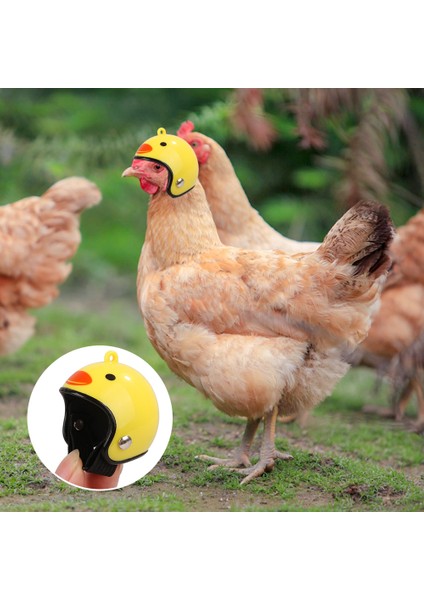 C Tarzı Yaratıcı Tavuk Kaskı Küçük Evcil Hayvan Sert Şapka Ördek Kapısı Bıldırcın Şapkası Başlık Evcil Tavuk Kaskı Kuş Kafa Kaskı Kafa Koruyucu (Yurt Dışından)