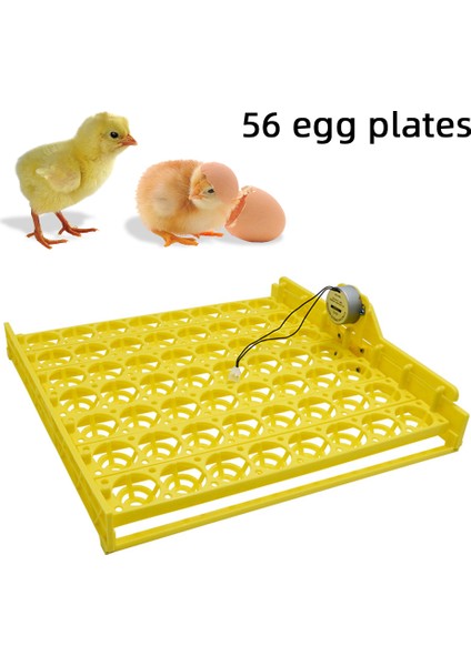 No.56 Tarzı 110V Tavuk Ördek Yumurtaları Için Otomatik Yumurta Kuluçka Makinesi 110V 220V Incubator Otomatik Çevirme Motoruyla (Yurt Dışından) fiyatları