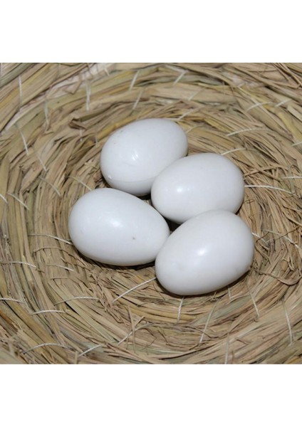 Yalan Yumurtalar Kuş Yumurtası Simülasyon Malzemeleri Sahte Kuluçka Yumurtası Yumurta Yumurtlama Aracı Yumurta Yuvası Sahte Yumurta Katı Yumurta (Yurt Dışından)