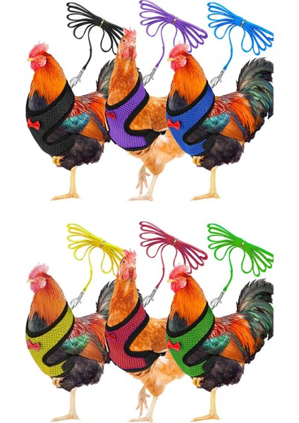 Yeşil Stil Xl Beden Smlxl Boyut Tavuk Tavuk ile Eşleşen Kemer Rahat Nefes Alabilir Orta Tavuk Kemer Ev Bahçe Ev Evcil Hayvan Malzemeleri 5g (Yurt Dışından) modelleri