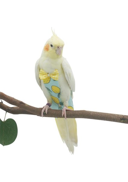 Monk Parakeet Stili Için Kuş Papağanı Tüy Bağlı Uçuş Takımı Kıyafetleri Luişku Yalama Tüy Bebek Bezi - Türkçe (Yurt Dışından) fırsatları