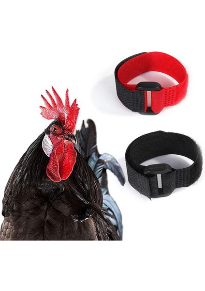 Siyah Stil Horoz Gürültüsüsüz Anti-Tutma Boyun Bandı Tavuk Boyun Bandı No-Crow Horoz Boyun Bandı Tavuk Aksesuarları Çiftlik Kümes Hayvanları Için (Yurt Dışından) fırsatları