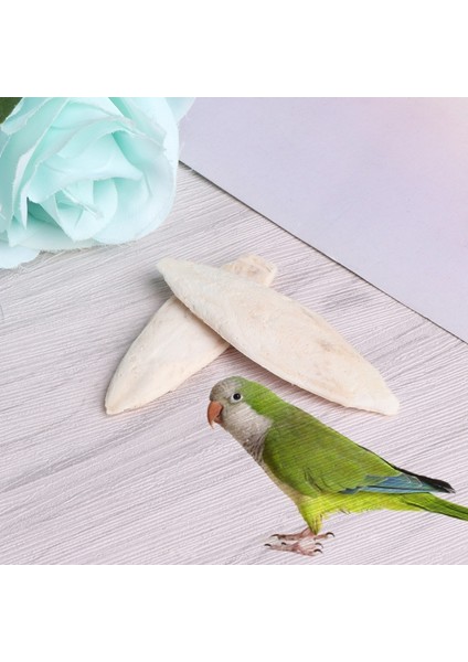 Gösteri Tarzı Olarak 1 Paket Mürekkep Balığı Kemik Sepia Balık Kafesi Kuş Yemi Kalsiyum Taşı Evcil Hayvan - (Yurt Dışından) fiyatları