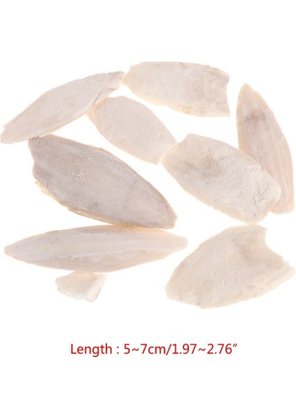 Gösteri Tarzı Olarak 1 Paket Mürekkep Balığı Kemik Sepia Balık Kafesi Kuş Yemi Kalsiyum Taşı Evcil Hayvan - (Yurt Dışından) fırsatları