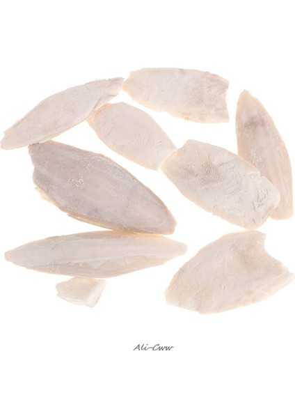 Gösteri Tarzı Olarak 1 Paket Mürekkep Balığı Kemik Sepia Balık Kafesi Kuş Yemi Kalsiyum Taşı Evcil Hayvan - (Yurt Dışından) indirimleri