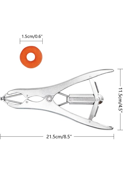 200 Yüzük Tarzı Koyun Kuzu Domuzlar Için Genişleme Kastratör Halkaları ile Paslanmaz Çelik Hayvan Kastrasyon Pensesi Kuyruk Kesici Aletler Kiti (Yurt Dışından)