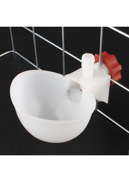 Resim Stili Olarak M Beden Otomatik Kuş Su Içme Kapları Plastken Içmeç Maması Tavuk Güvercin Kaz Yavrusu En Yeni Kuş Içme Çeşmesi (Yurt Dışından) fırsatları