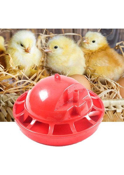 No.5 Tarzı Dayanıklı Tavuk Içme Kasesi Yüksek Kapasiteli Otomatik Plastik Çıkarılabilir Kümes Hayvanı Sulama Ekipmanı Için Su Kabı (Yurt Dışından) fiyatları