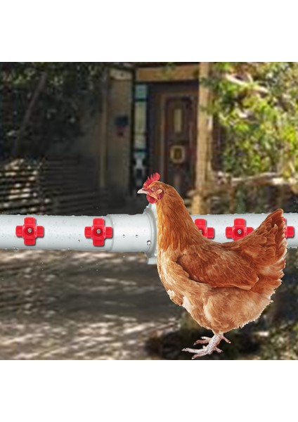 No.2 Tarzı Tavuk Içme Kapları Kırmızı Sülün Tavuk Su Kabı Otomatik Kümes Tavuk Der Su Içme Kapları 3 (Yurt Dışından)