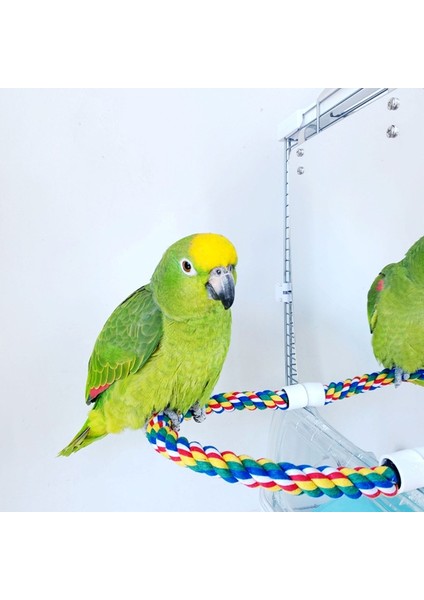 S Tarzı Ip Koltuklar Kuş Oyuncakları Salıncak Rahat Koltuklu Akrilik Kuş Aynası Için (Yurt Dışından) fırsatları