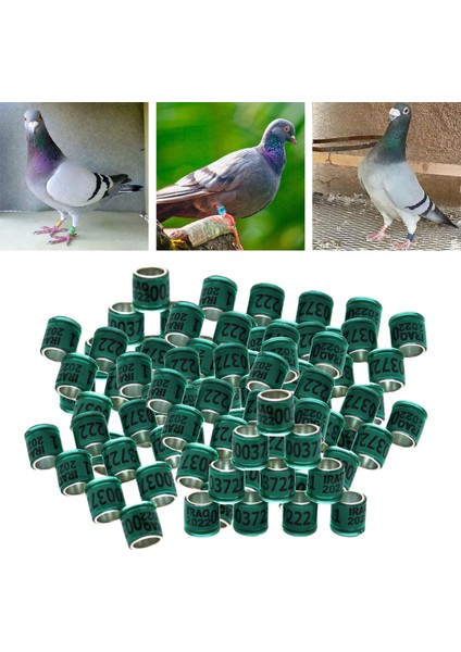 Yeşil Stil Yıl Alüminyum Yarış Güvercin Ayak Yüzükleri Bantlar 8mm Tekrar Kullanılabilir Papağan Bıldırcın Fanary Için (Yurt Dışından)