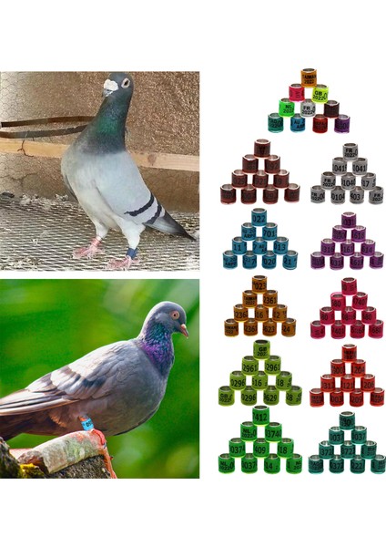 Yeşil Stil Yıl Alüminyum Yarış Güvercin Ayak Yüzükleri Bantlar 8mm Tekrar Kullanılabilir Papağan Bıldırcın Fanary Için (Yurt Dışından) modelleri