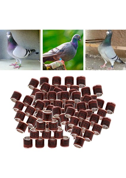 Yeşil Stil Yıl Alüminyum Yarış Güvercin Ayak Yüzükleri Bantlar 8mm Tekrar Kullanılabilir Papağan Bıldırcın Fanary Için (Yurt Dışından) indirimleri