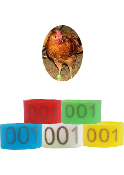 Kırmızı Stil 16MM Numaralı Plastik Kümes Tavuk Ördek Kazı Bacak Bantları Halkaları Kelepçe Piliç Kimlik Bandı (Yurt Dışından) fiyatları