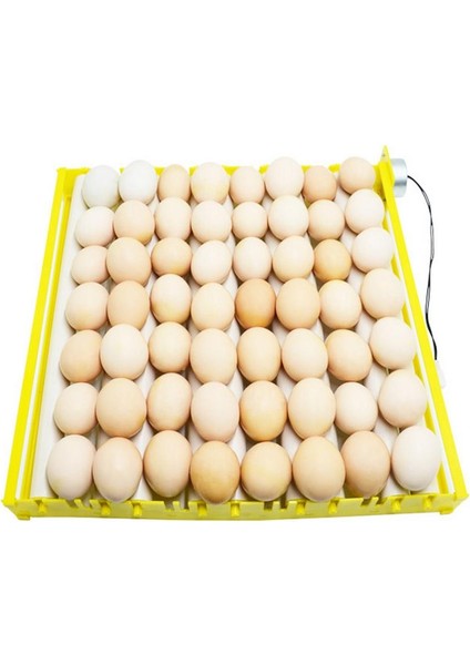 220V Tarzı 56 Yumurta Kuluçka Makinesi Tepsi Tavuklar Ördekler ve Diğer Kümes Hayvanları Için Otomatik Yumurta Çevirme Kuluçka Ekipmanı (Yurt Dışından) fırsatları