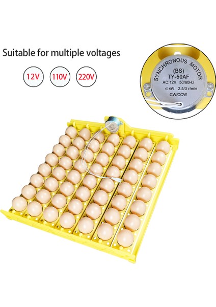 Dc 12V Tarzı 56 Yumurta Kuluçka Makinesi Otomatik Kuluçka Motorlu Tepsi Kümes Hayvanı Kuluçka Ekipmanı Çiftlik Kümes Hayvanı Yumurtlama Aksesuarları (Yurt Dışından) fiyatları