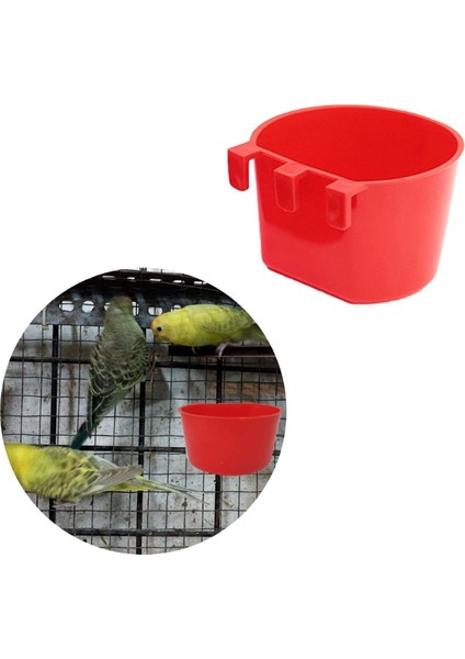 L Tarzı Evrensel Plastik Asılı Kupalar Kafes Muhabbet Kuşu Kırmızı Asılı Güvercin Su Kapları Tohum Tepsileri Tavuklar ve Horozlar Için (Yurt Dışından) fırsatları