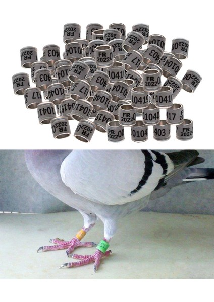 Beyaz Stil Yıl Alüminyum Yarış Güvercin Ayak Yüzükleri Bantlar 8mm Tekrar Kullanılabilir Papağan Bıldırcın Fanary Için (Yurt Dışından)