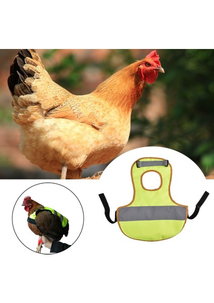 Ayarlanabilir Stil Evcil Hayvan Yansıtıcı Yelek Tavuk Giysileri Kümes Tavuğu Eyersiz Tüy Koruma Tutucu Tavuk ve Ördek Küçük Evcil Hayvan Malzemeleri Için (Yurt Dışından) indirimleri