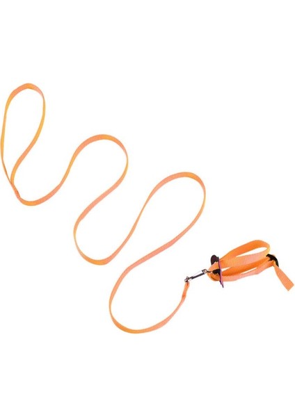 Turuncu Tarzı Yeni Taşınabilir Papağan Kuşu Hamster Kaplumbağa Kertenkele Çekiş Halatı Yular 8 Şekilli Evcil Hayvan Kayışı Tasması (Yurt Dışından)