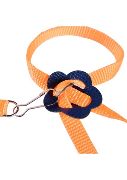 Turuncu Tarzı Yeni Taşınabilir Papağan Kuşu Hamster Kaplumbağa Kertenkele Çekiş Halatı Yular 8 Şekilli Evcil Hayvan Kayışı Tasması (Yurt Dışından) fiyatları