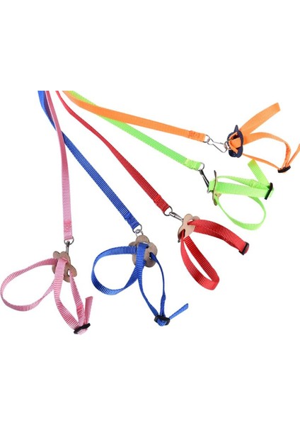 Turuncu Tarzı Yeni Taşınabilir Papağan Kuşu Hamster Kaplumbağa Kertenkele Çekiş Halatı Yular 8 Şekilli Evcil Hayvan Kayışı Tasması (Yurt Dışından) indirimleri