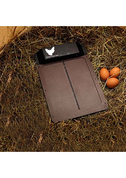 1 Adet Tarzı 24X35CM Işığa Duyarlı Otomatik Coop Kapı Yüksek ve Pratik Tavuk Evcil Hayvanlar Aracı Dropship (Yurt Dışından) modelleri