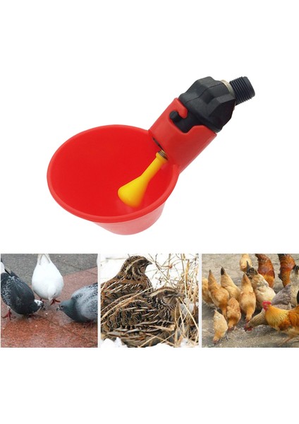 Vidasız Kırmızı Stili 5 Adet Otomatik Içme Kupası Bıldırcın Askılı Meme Içme Kapları ve Kuş Kümesi Içme Kupaları Için Arka Bahçe Tavukları (Yurt Dışından) modelleri