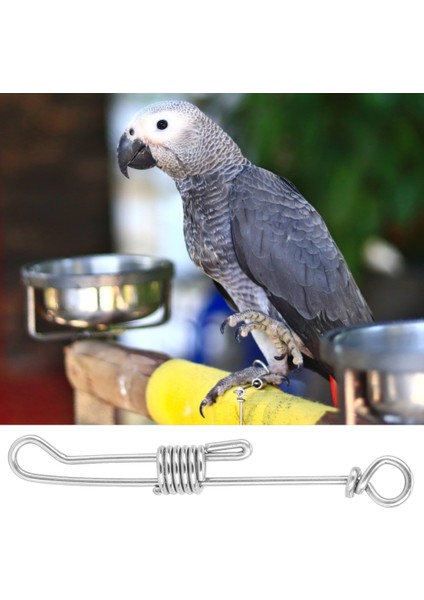 Paslanmaz Çelik Ayak Zincir Kuş Paça Halkaları Kuşları Uzak Tutma Kuş Eğitim Zinciri Için Papağanlar Için Dış Mekan Kuş Aksesuarları (Yurt Dışından)