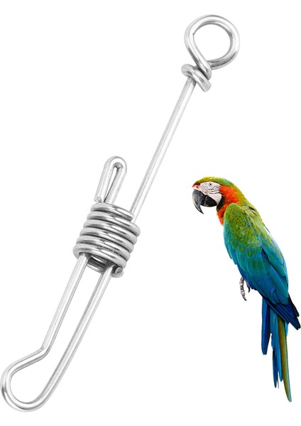 Paslanmaz Çelik Ayak Zincir Kuş Paça Halkaları Kuşları Uzak Tutma Kuş Eğitim Zinciri Için Papağanlar Için Dış Mekan Kuş Aksesuarları (Yurt Dışından) modelleri