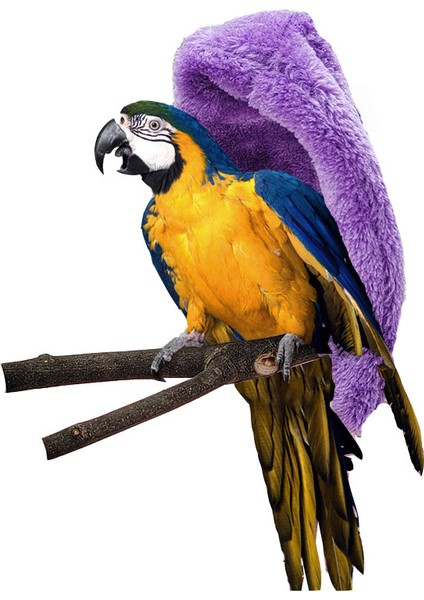 Gri Stil 18X28CM Kuş Hamak Çadır Rüzgar Geçirmez Kürk Papağan Kafes Asılı Mağara Sıcak Muhabbet Kuşu Kış Küçük Evcil Hayvanlar Gizlenme Kuşlar Pamuk Yuva Aksesuarları (Yurt Dışından) modelleri