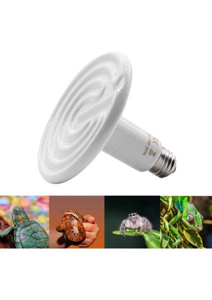200W Siyah Stil Seramik Sürüngen Isı Lambası Kertenkele Isı Ampulü Yayan Isıtıcı (Yurt Dışından)