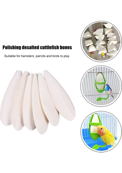 B Tarzı Muhabbet Kuşu Kafes Oyuncakları Kemik Kalsiyum Takviyeleri Diş Oyuncağı Kalamar Kuş Aksesuarları Salıncak Standı. (Yurt Dışından) fiyatları