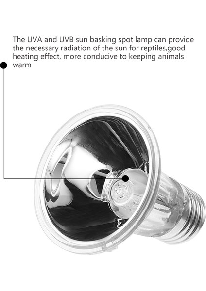220V 25W Tarzı 6.3x7.5cm Sürüngen Işık Kaplumbağa Isı Lambası Uva Mini Evcil Isı Lambası Ampul Uv Işık Ampul Kurbağalar Kertenkeleler Sıcaklık Kontrol Cihazı (Yurt Dışından) modelleri