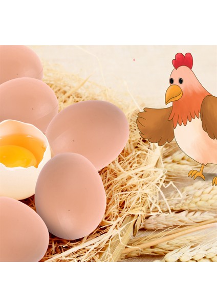 Bir Stil Kuluçka Yumurta Tavuk Kümes Yumurtlama Üretim Simülasyonu Sahte Plastik Yapay Yumurtalar Kendin Boya Paskalya Yumurta Eğitici Oyuncak (Yurt Dışından)