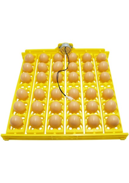 12V Tarzı Yumurta Otomatik Kuluçka Makinesi Tavuk Yumurta Tepsisi Şarj Edilebilir Kümes Kuluçka Çevirici Otomatik Çiftlik Kuluçka Araçları (Yurt Dışından)