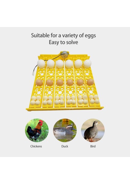 12V Tarzı Yumurta Otomatik Kuluçka Makinesi Tavuk Yumurta Tepsisi Şarj Edilebilir Kümes Kuluçka Çevirici Otomatik Çiftlik Kuluçka Araçları (Yurt Dışından)